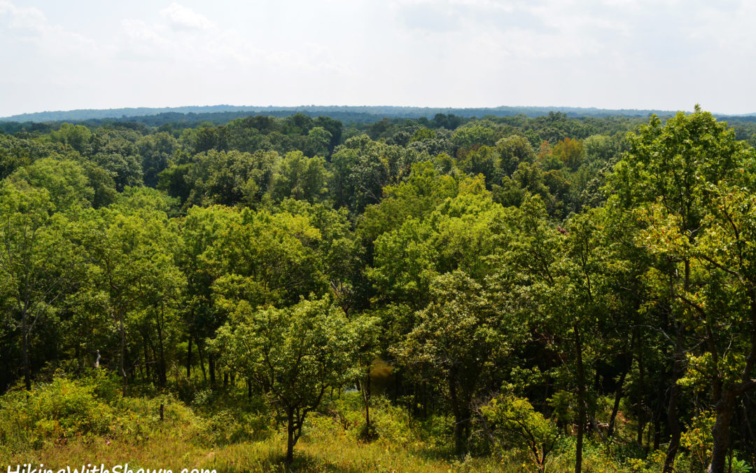 4 Longer Southern Illinois Trails in or around the Shawnee National Forest