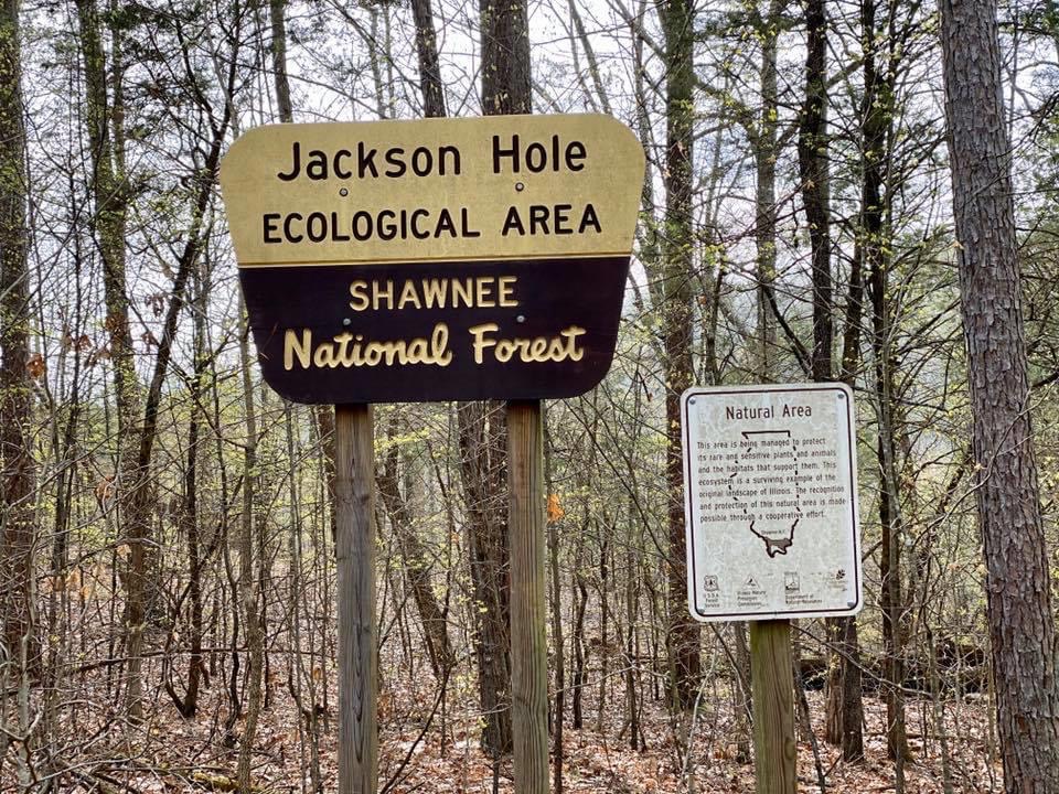 Jackson Hole Ecological Area