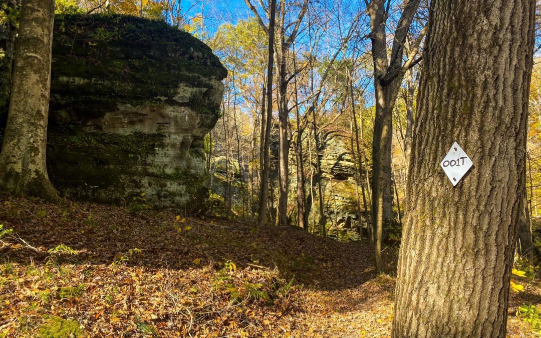 Hiking with Shawn’s Trail Guide Series: East Trigg to Splatterstone Fall