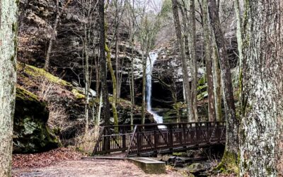 Hiking with Shawn’s Trail Guide Series: Ferne Clyffe State Park