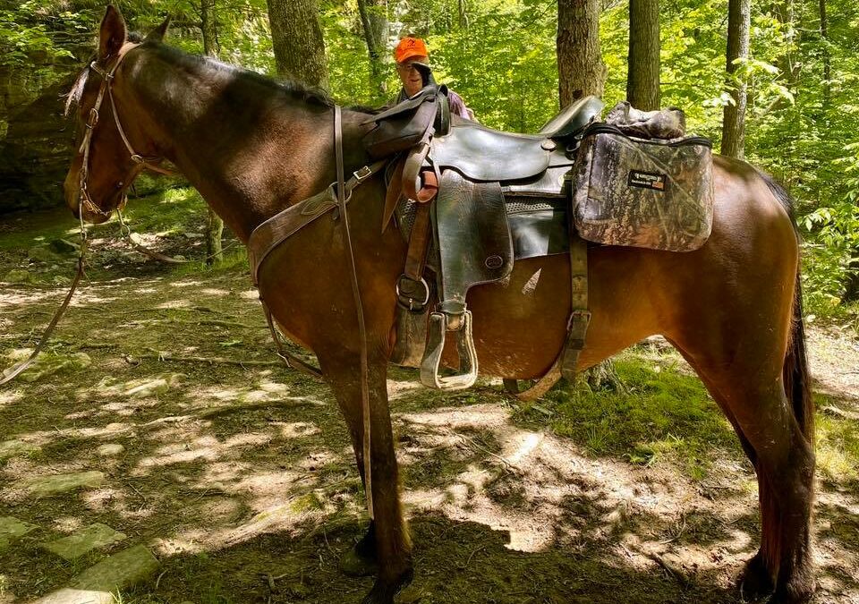 Hiking with Shawn’s Shawnee Safety Guide Series: Safely Sharing the Trail with Equestrian Users