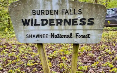 Shawnee National Forest Wilderness Areas: A Hiking with Shawn Wilderness Series