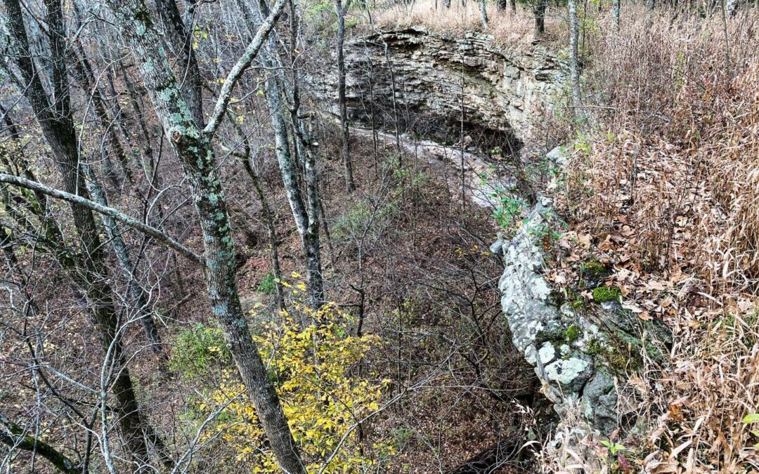 Hiking with Shawn’s Trail Guide Series: Wildcat Bluff