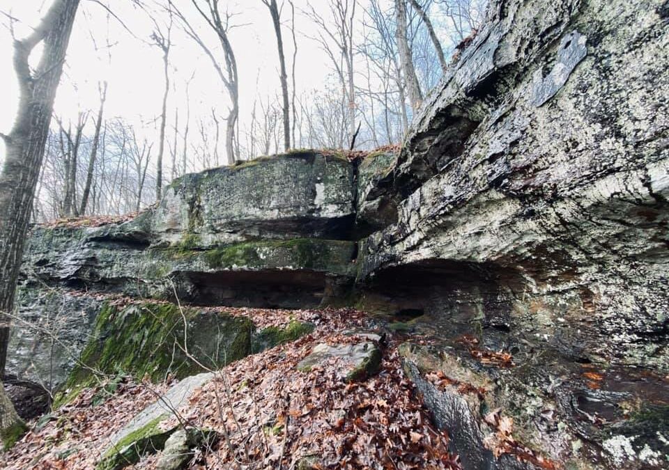 Shawnee Wilderness Designation Act Could Harm Southern Illinois