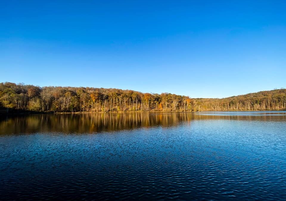 Millstone Lake Guide – Shawnee National Forest