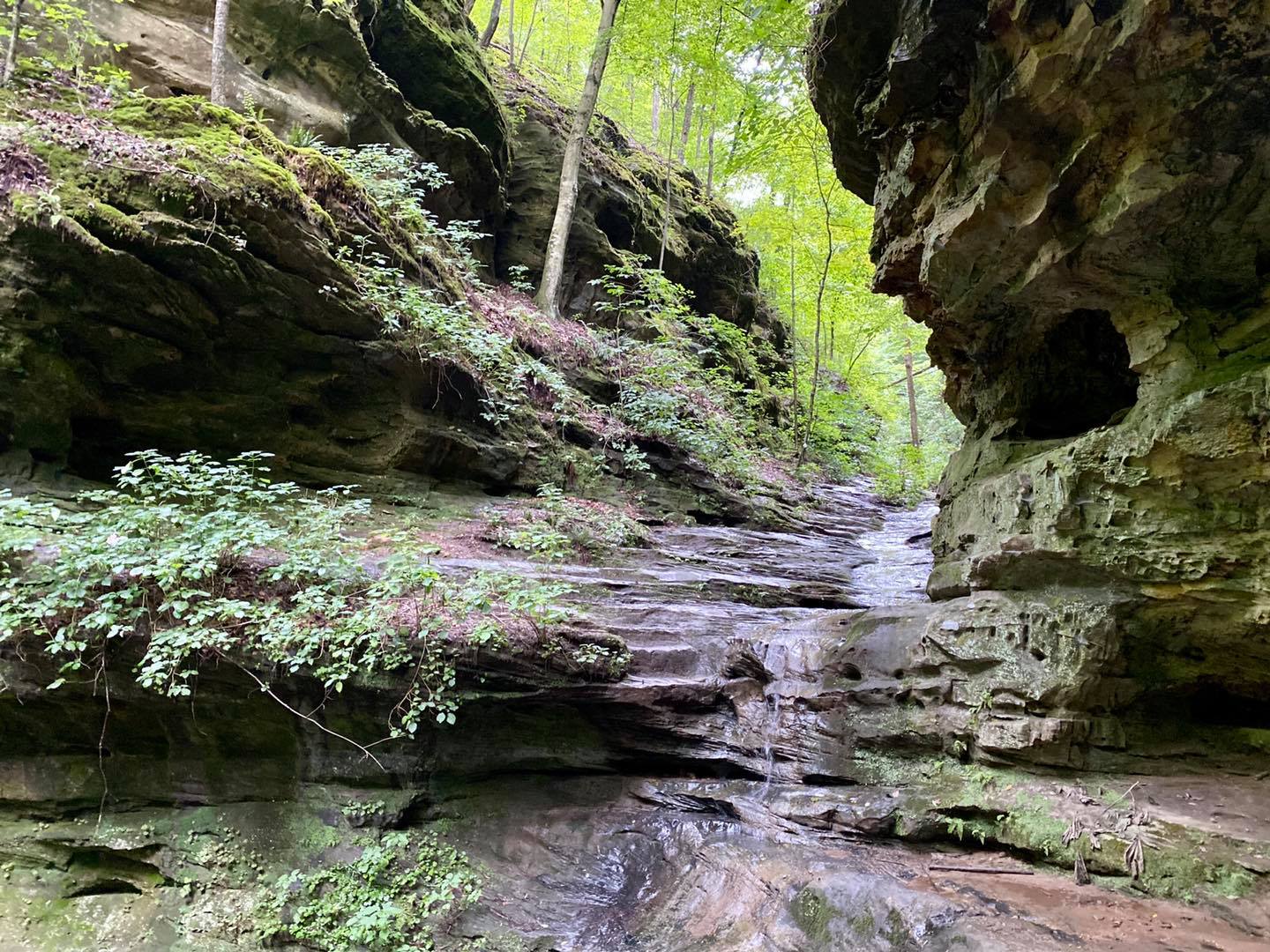 Southern Illinois Hiking Trails: Little Grand Canyon