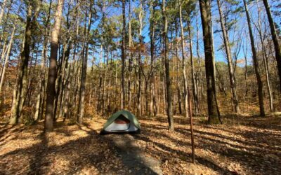 10 Shawnee National Forest Campgrounds for Every Visitor