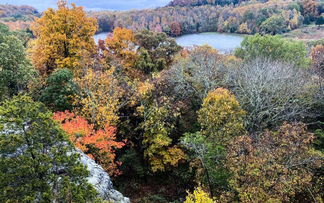 15 Shawnee National Forest Best Views that are a Must See!
