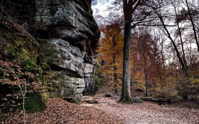 Rim Rock National Recreation Trail – Shawnee National Forest – Trail Guide