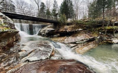 Dixon Springs State Park Visitor Guide