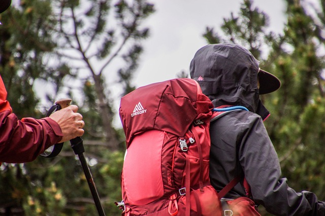 How and What to Pack for Your Overnight Hiking Trip
