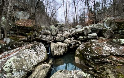 5 Best Illinois State Park Trails to Visit the Year