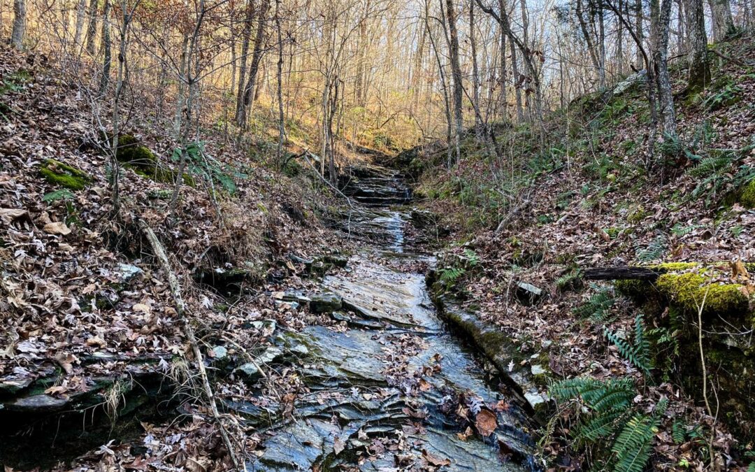 12 Lesser Known Southern Illinois Waterfalls that You MUST See