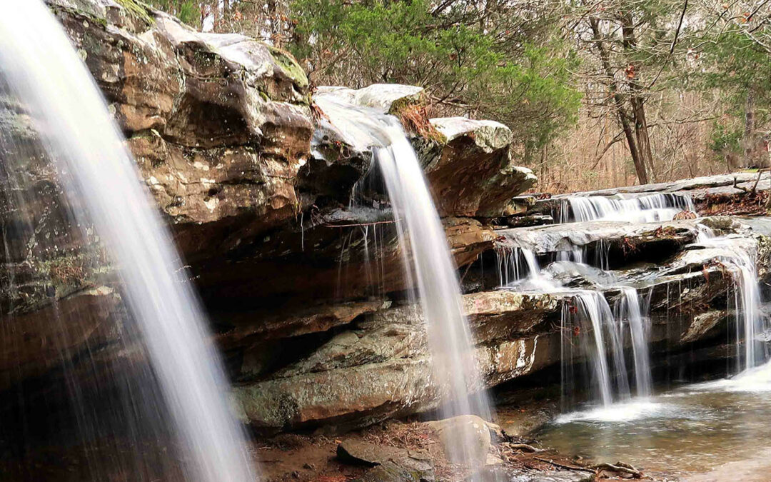 Support Friends of the Shawnee National Forest