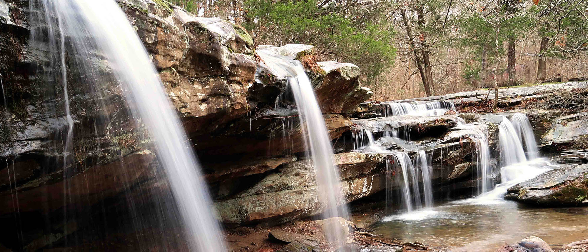 Support Friends of the Shawnee National Forest