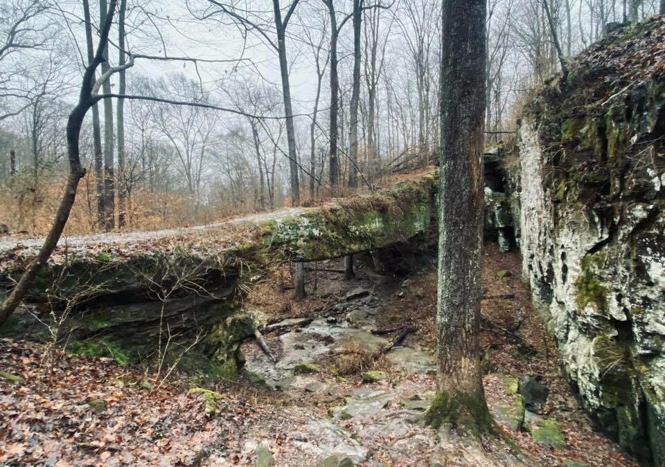 35 Easy Southern Illinois Hikes with A Lot to See