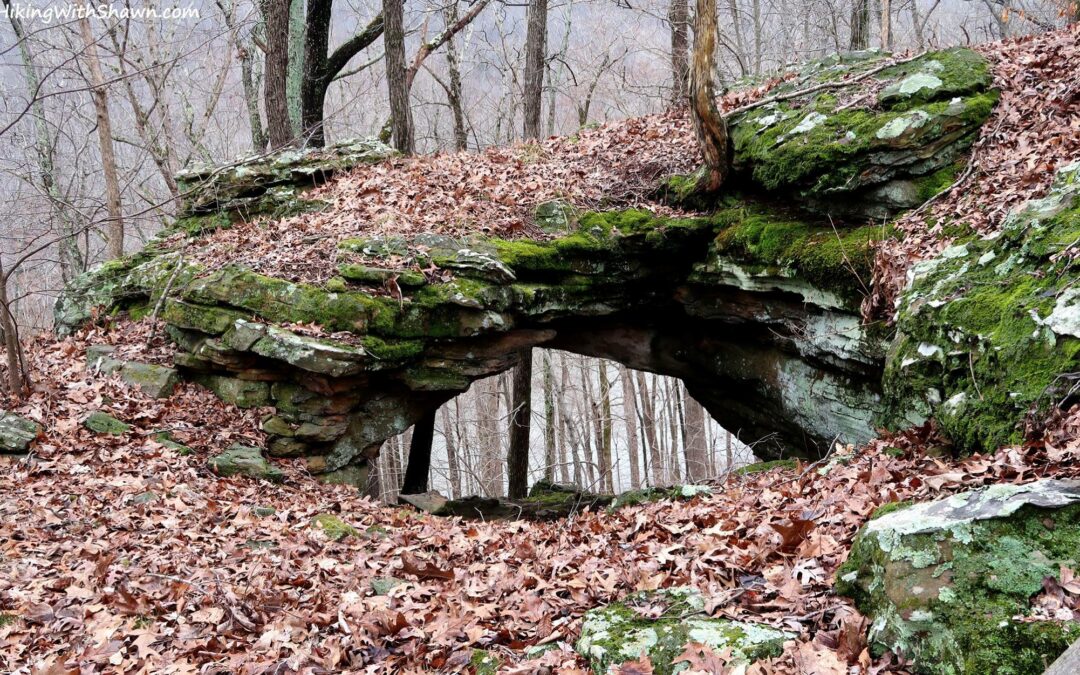 6 Essential Shawnee Forest Beginner Hiking Tips