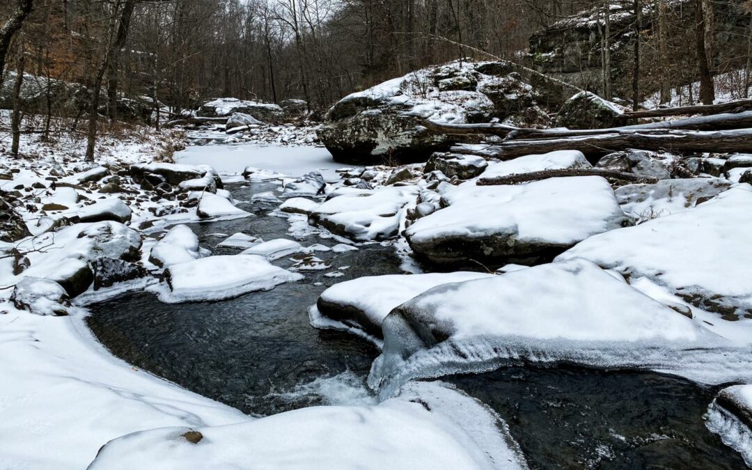 Shawnee Forest Winter Hiking Tips