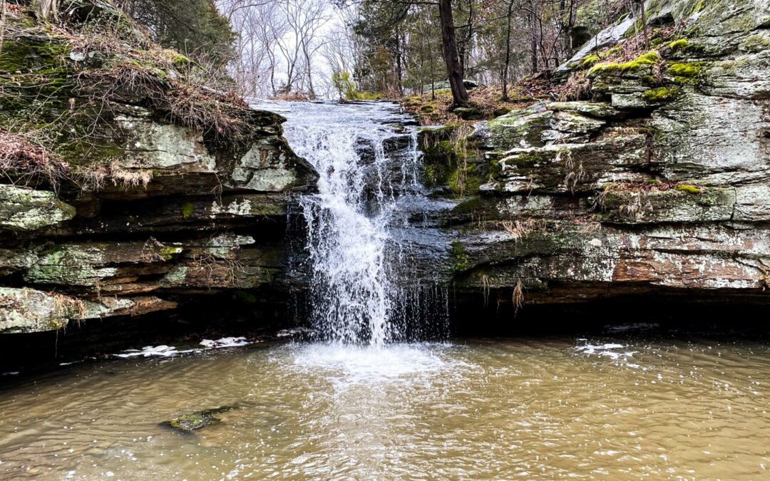 10 Shawnee Forest Hidden Gems You Need To See