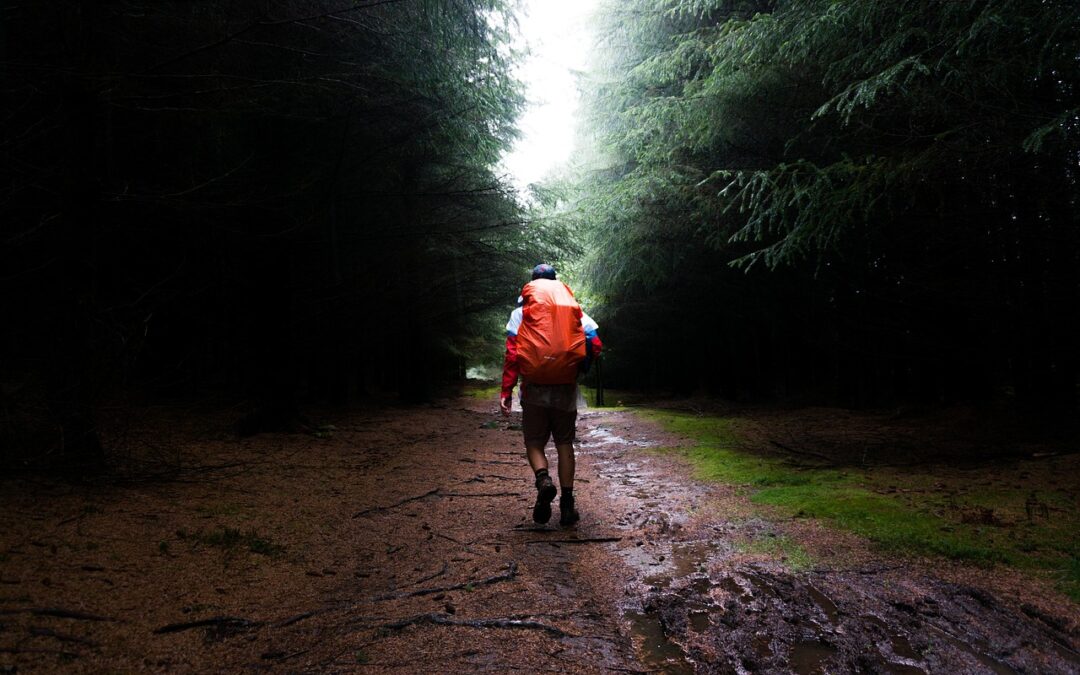 6 Tips for Hiking in the Rain