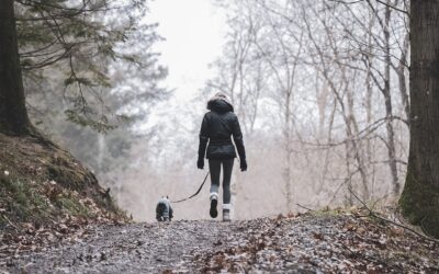 Banning Pets on Hiking Trails: Agree or Disagree?