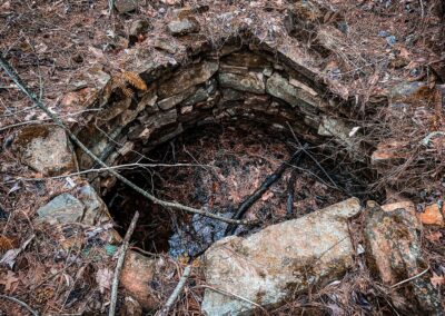 Old Homesite Well
